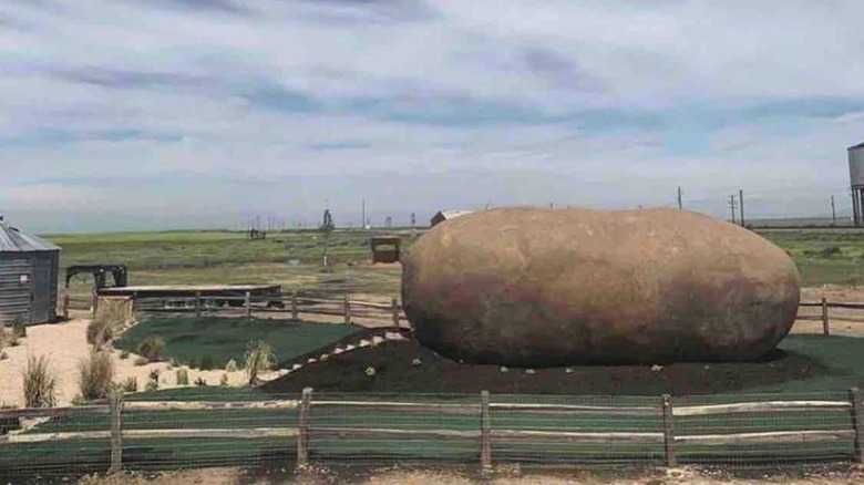 Potato Airbnb house