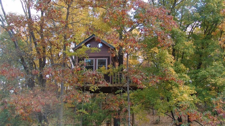 Treehouse for adults