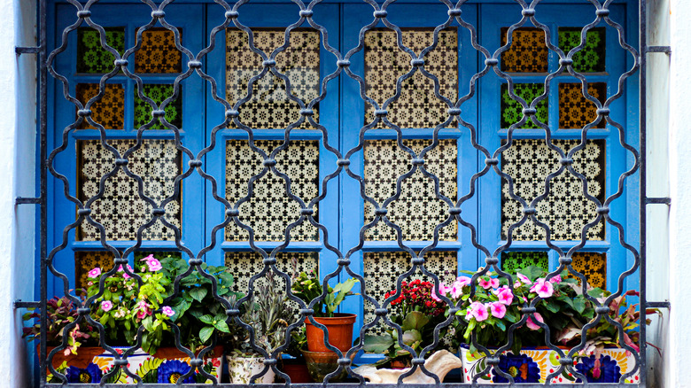 a bunch of flowers window