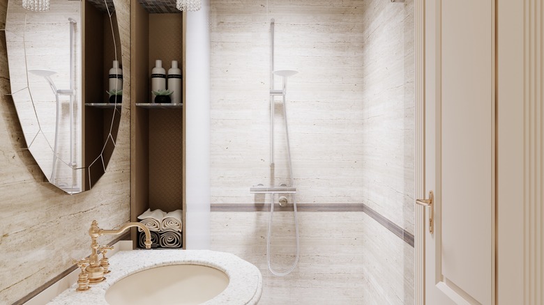 Walk-in shower with storage