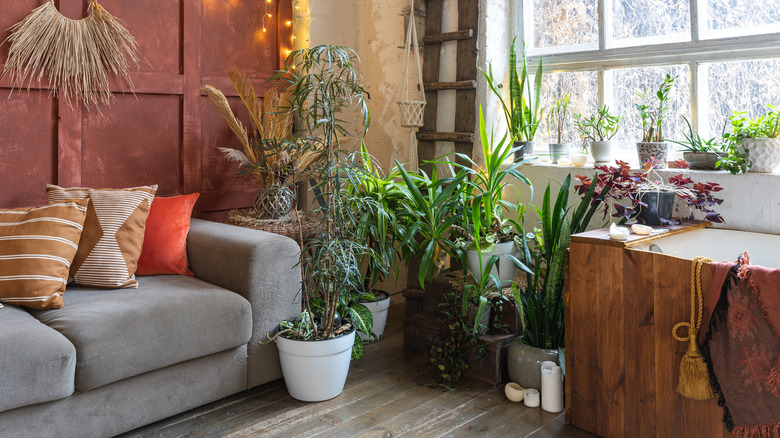 Cozy living room 