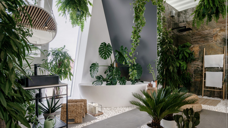 bathroom filled with plants