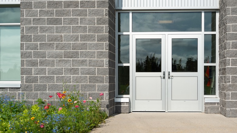 windows around white door