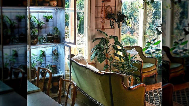 Seating area with plant cabinet