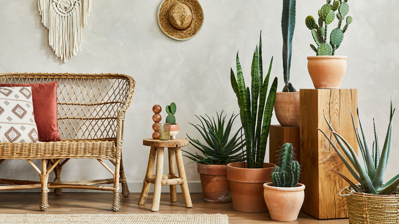 Southwestern decor and wicker bench