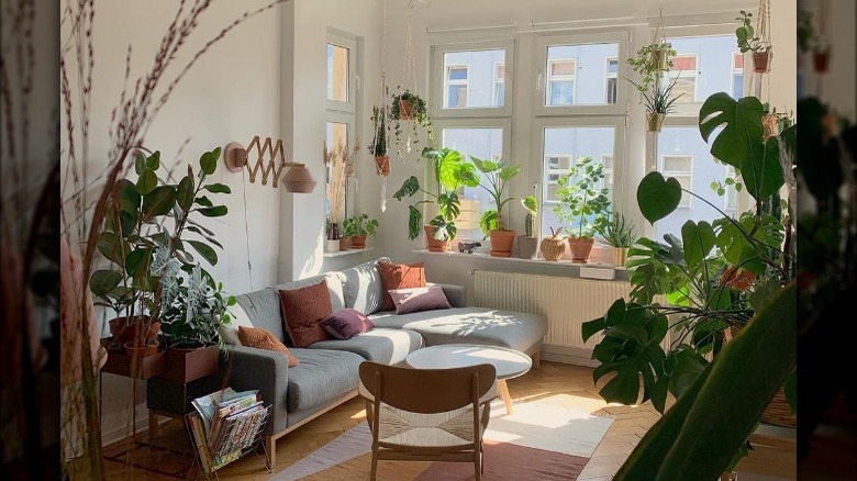 Apartment living room with plants