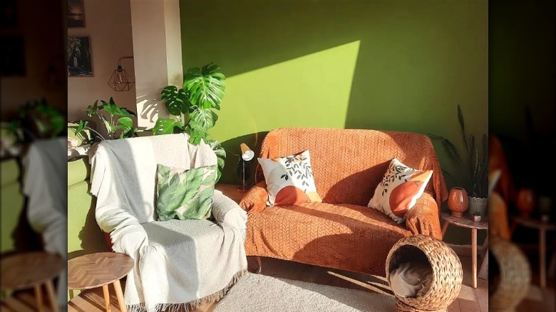 Orange sofa against green wall