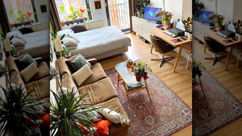 Studio apartment with plants