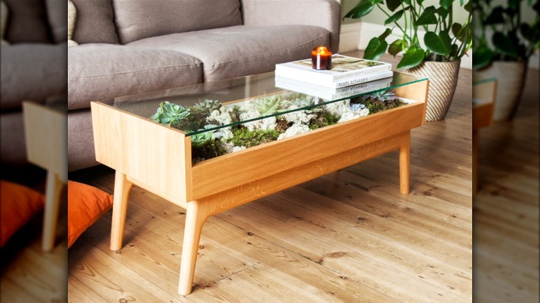 Coffee table with terrarium