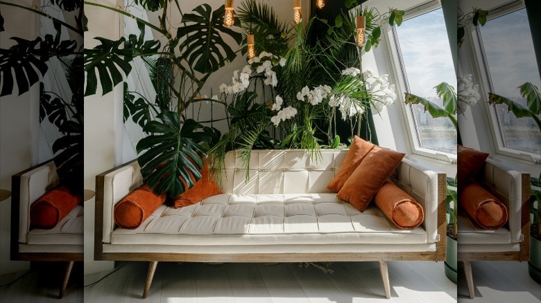 White couch and palm trees