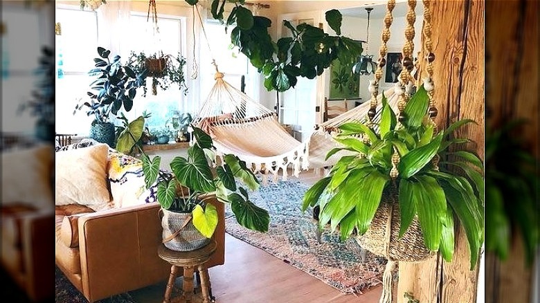 Living area with hammock