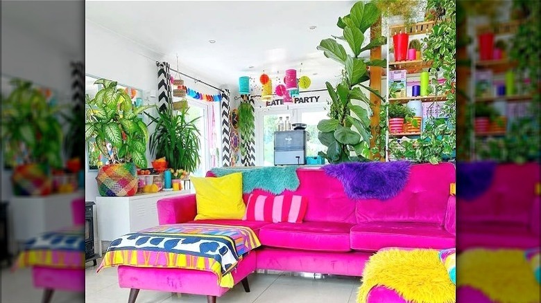 Colorful living area with plants