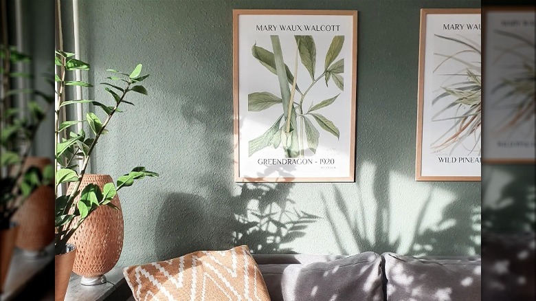 Botanical art above sofa