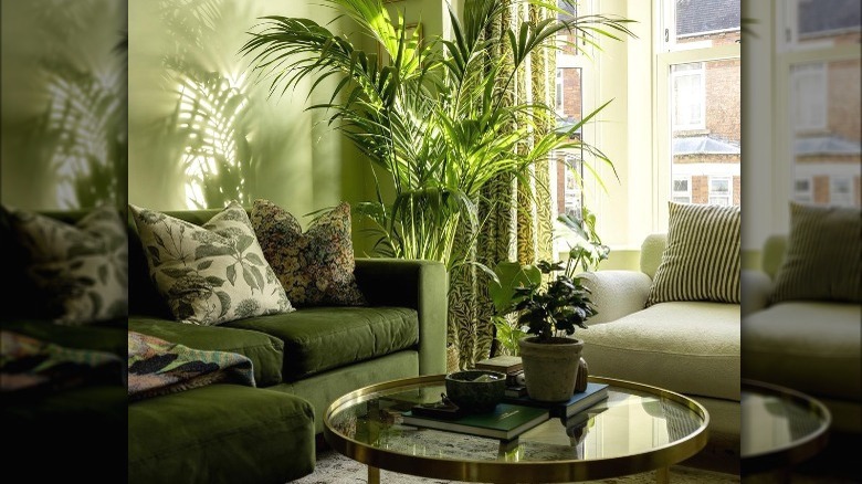 Green living room with palm