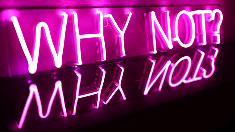 Why not neon sign