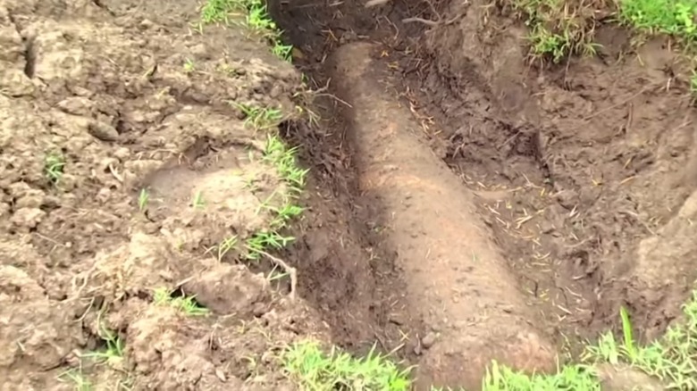 hole with cannon in backyard