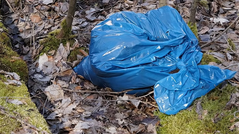 suspicious blue bag