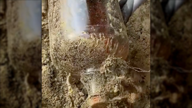 old clorox bottle covered in dirt