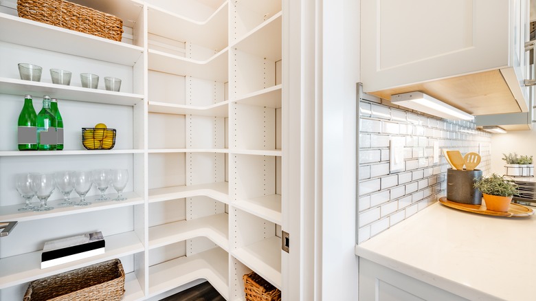 adjustable shelves in white pantry