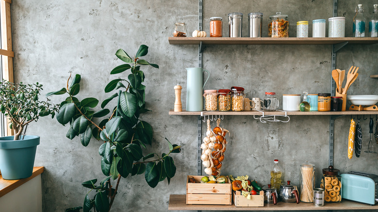 metal brackets with wooden shelves