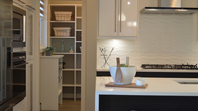 pantry with two shelving units