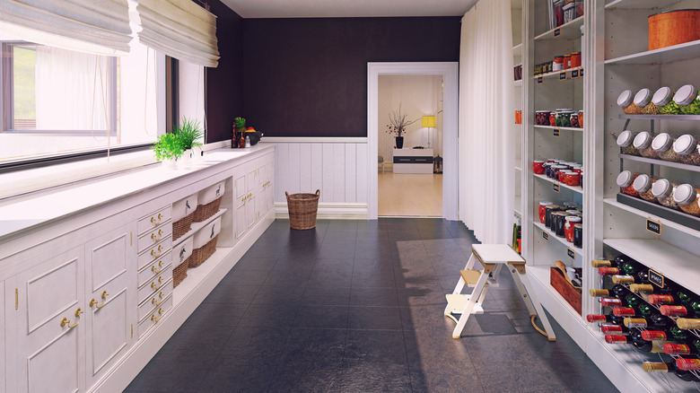 shelves and cabinets inside pantry