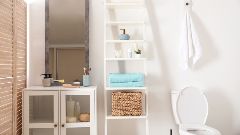 narrow shelving unit near toilet