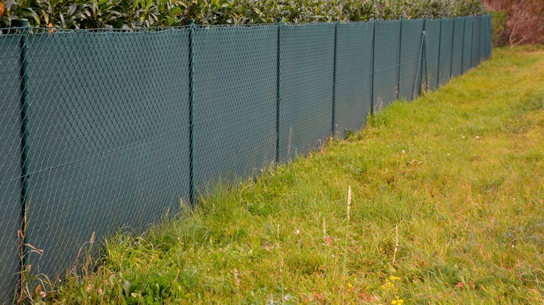 fabric-lined chain-link fence