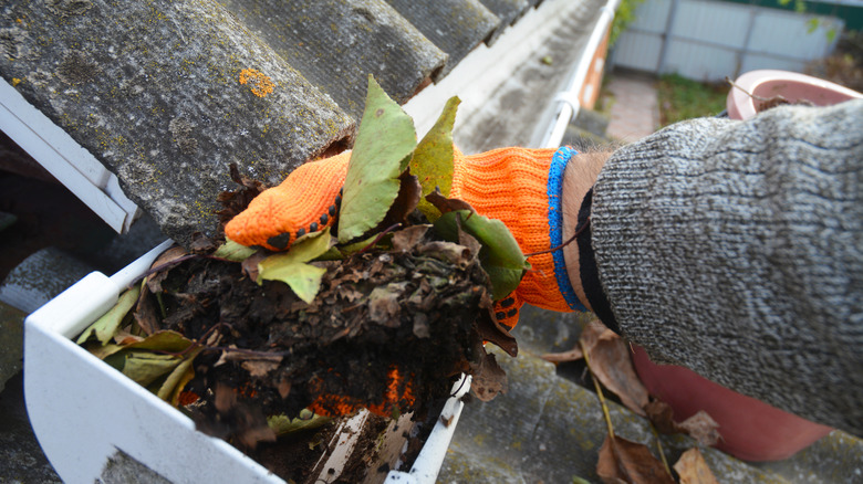 Person removing leaves from gutter