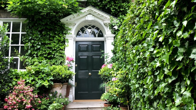 black front door with trees