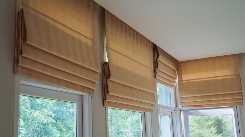 Roman shades in living room