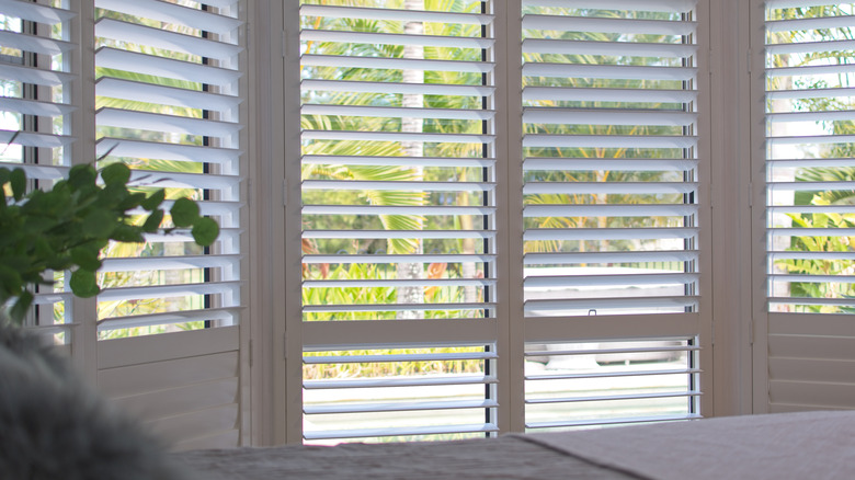 white shutters on windows