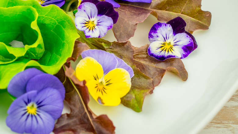 pansies arranged on salad plate