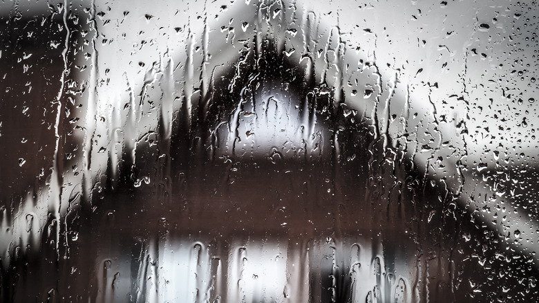 Rain-drenched window 