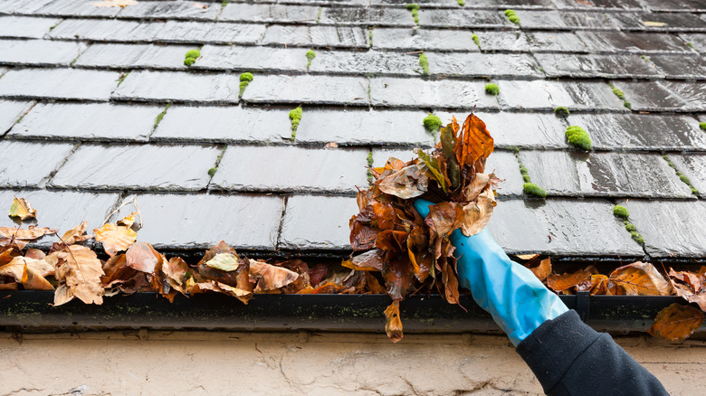 gloved hand cleaning gutter leaves