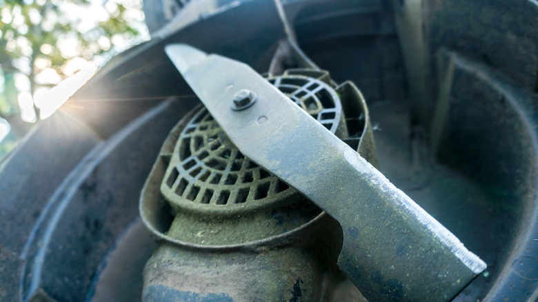 Close up of lawnmower blade