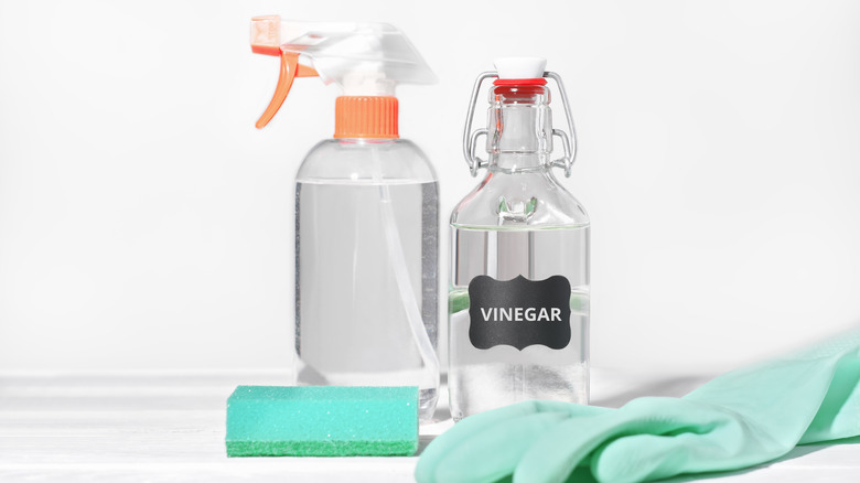 Vinegar and cleaning supplies