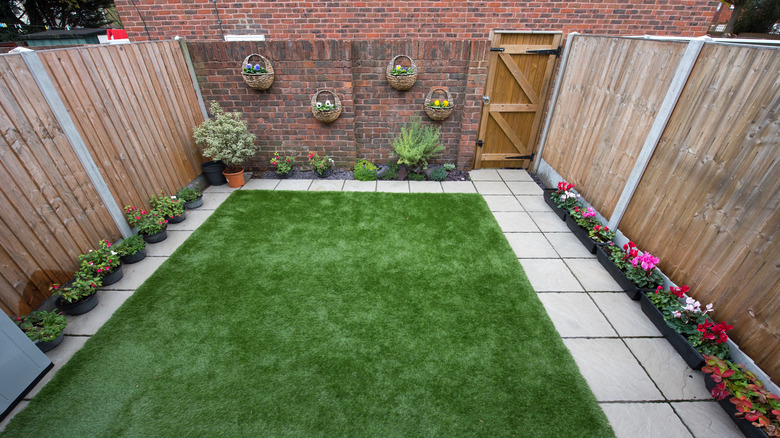 small garden with sloping fences