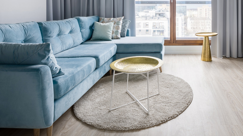 blue couch with gray rug