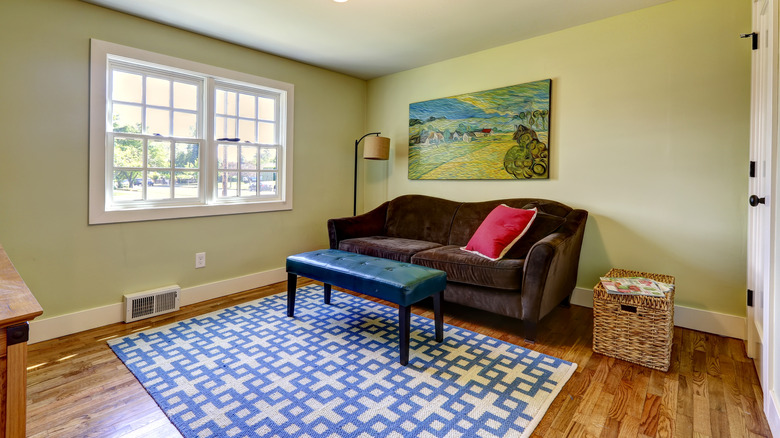 brown sofa and blue rug