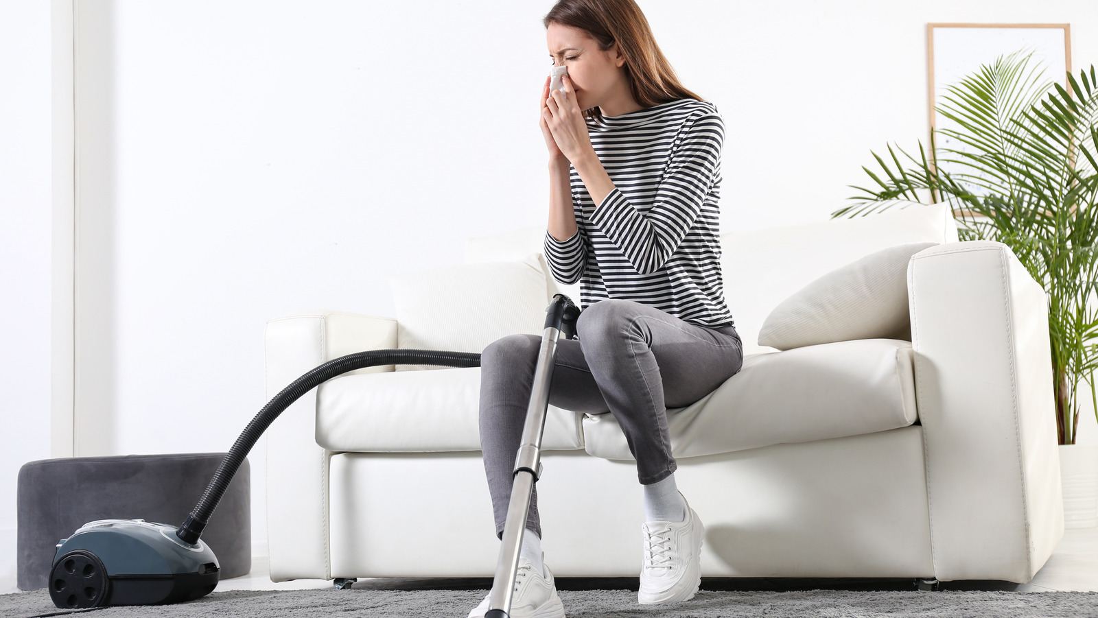 3 Signs Your Carpet Is Causing Allergy Attacks