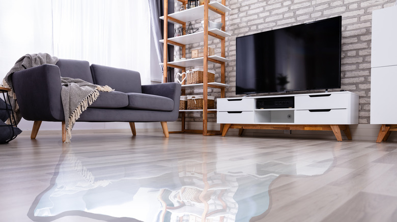 flooded floor in living room