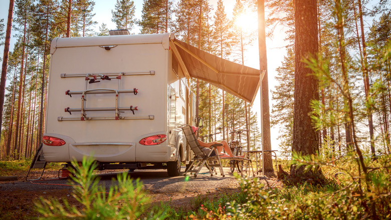 RV in the forest