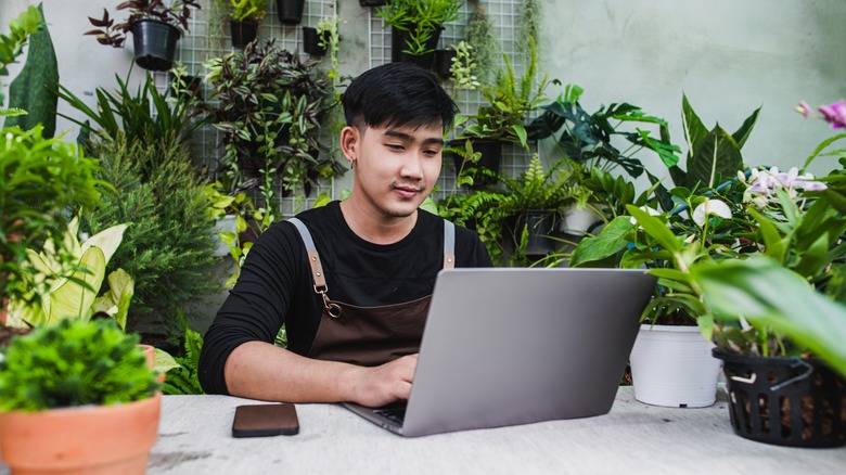 Person using laptop with plants