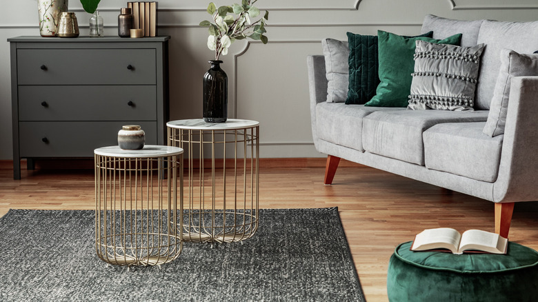 Gray rug in living room