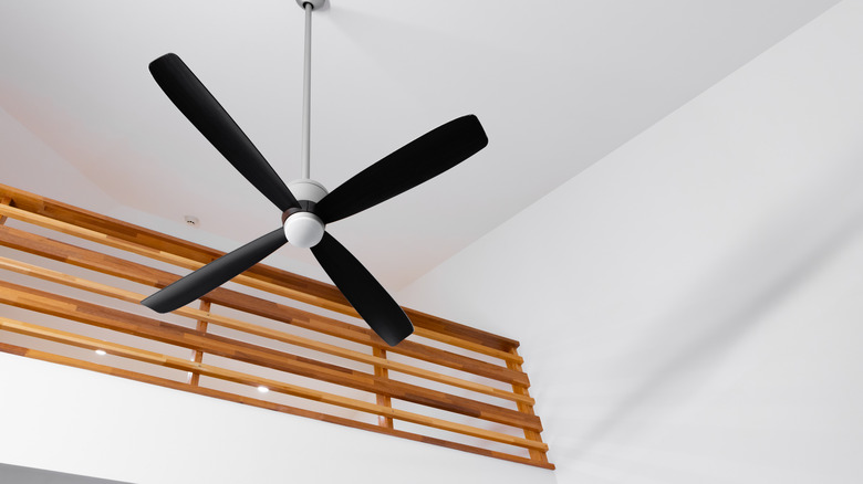 Ceiling fan with black blades