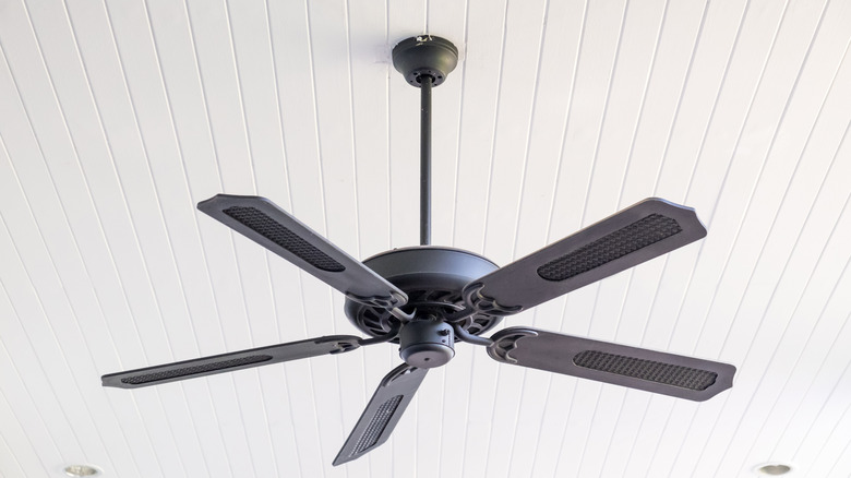 Ceiling fan on white ceiling