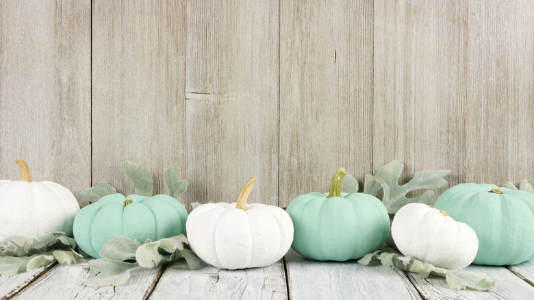 teal and white pumpkins