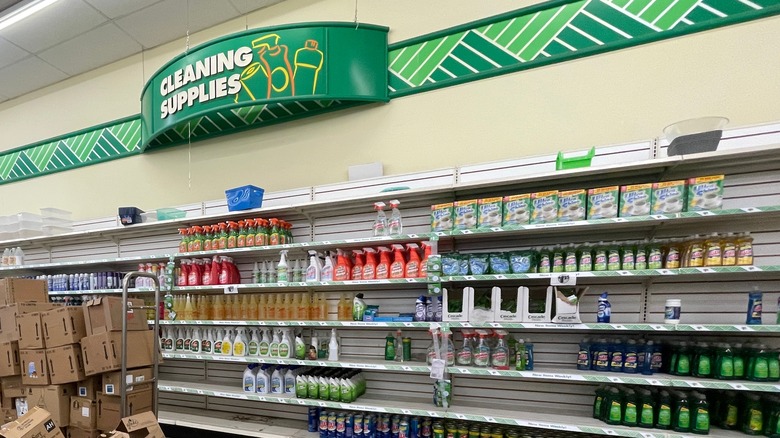 Cleaning supplies section inside Dollar Tree store