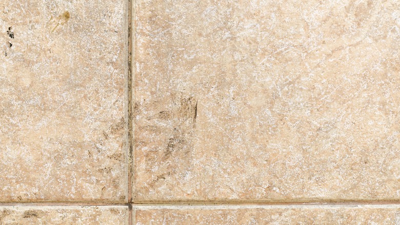 Dirt stains on tan tile